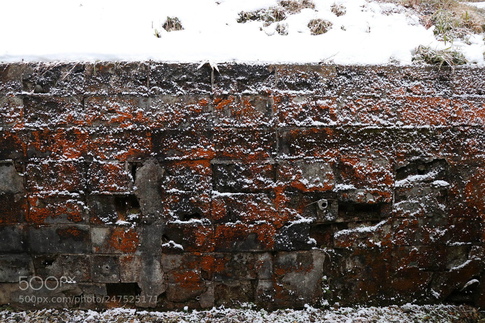 Canon EOS 80D sample photo. The wall photography