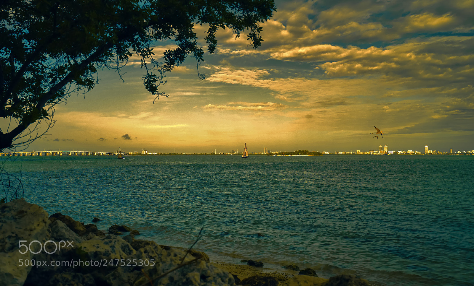 Sony a7 II sample photo. A sunset in the photography