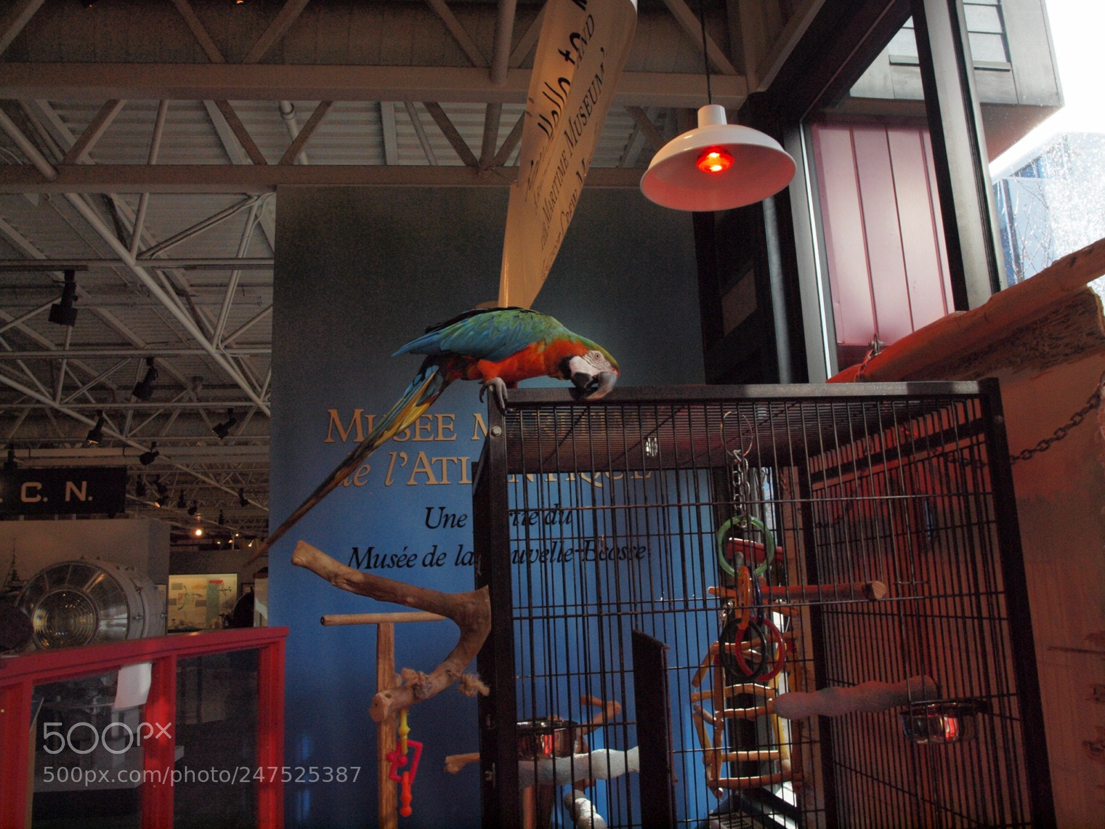 Olympus E-620 (EVOLT E-620) sample photo. This is halifax by photography
