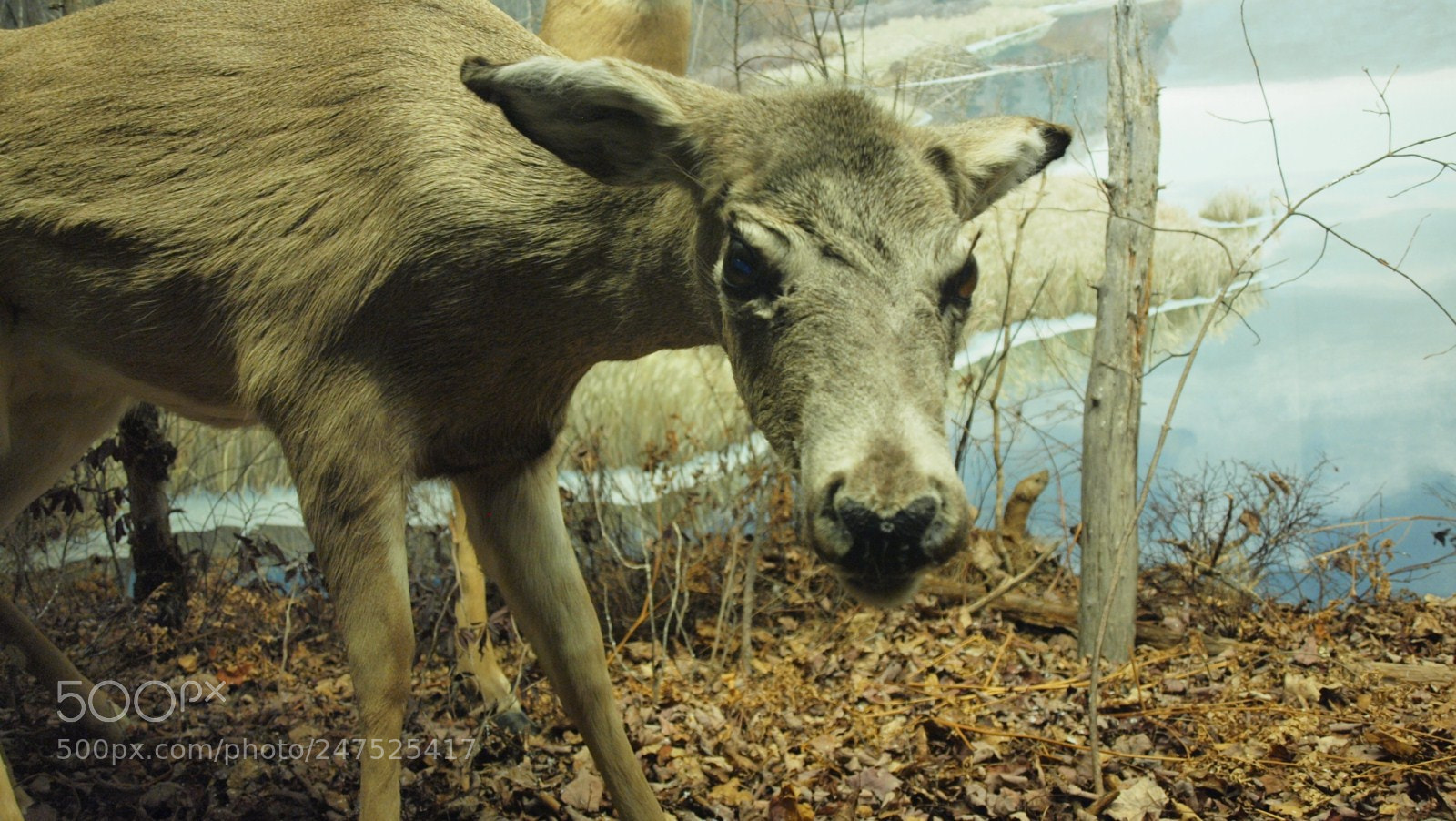 Olympus E-620 (EVOLT E-620) sample photo. This is halifax by photography
