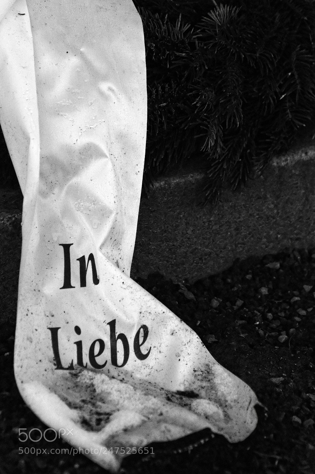 Sony Alpha DSLR-A290 sample photo. In liebe photography