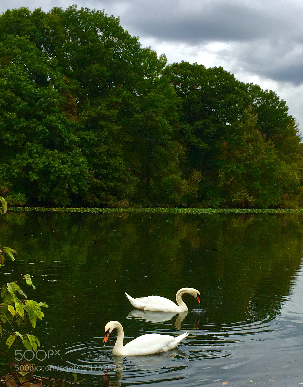 Apple iPhone 6 Plus sample photo. Back to the club photography
