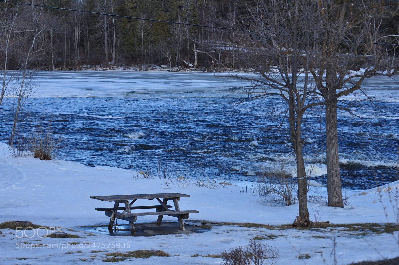 Nikon D5000 sample photo. Icy lunch photography