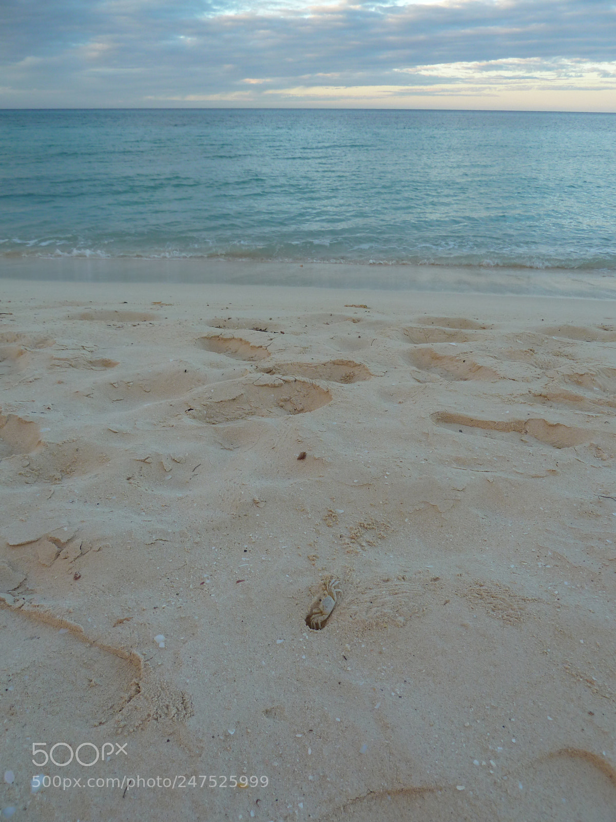 Panasonic Lumix DMC-ZS5 (Lumix DMC-TZ8) sample photo. Cangrejo al amanecer photography