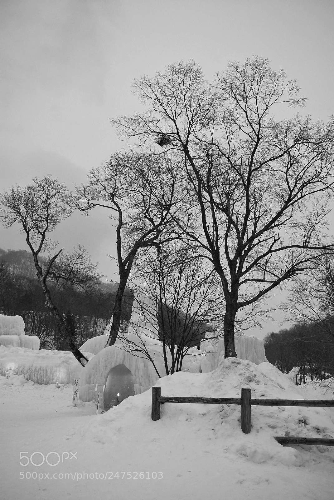 Nikon D200 sample photo. Hokkaido, japan photography
