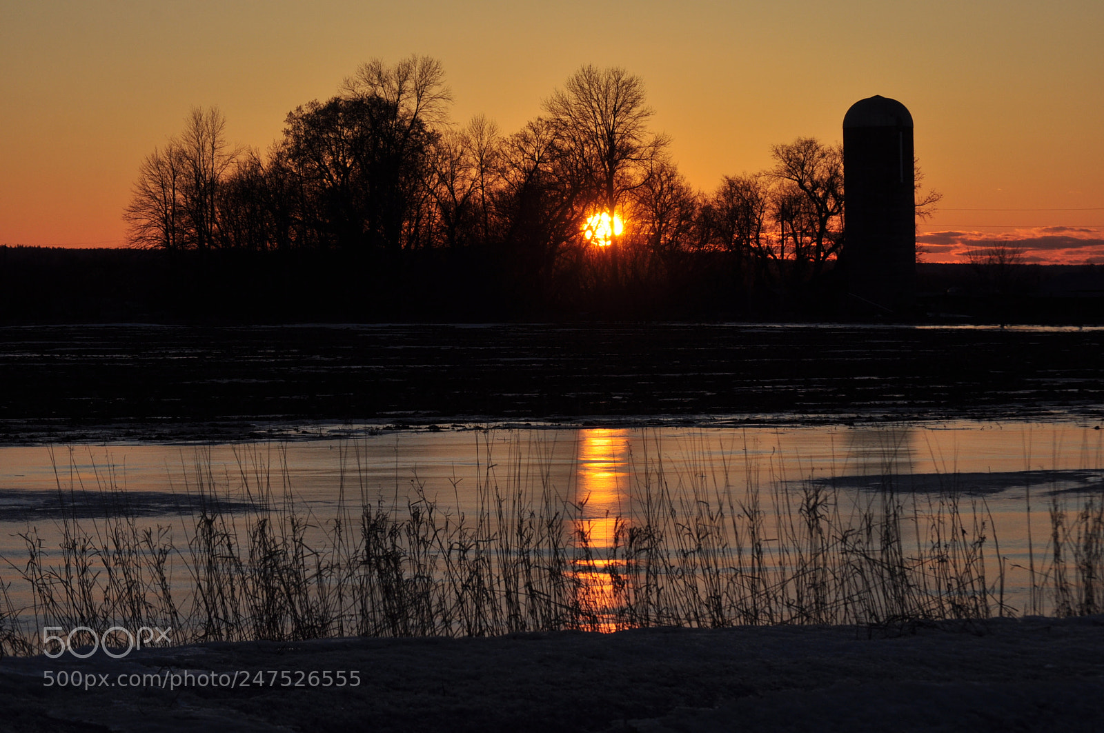 Nikon D5000 sample photo. Icy sunset photography