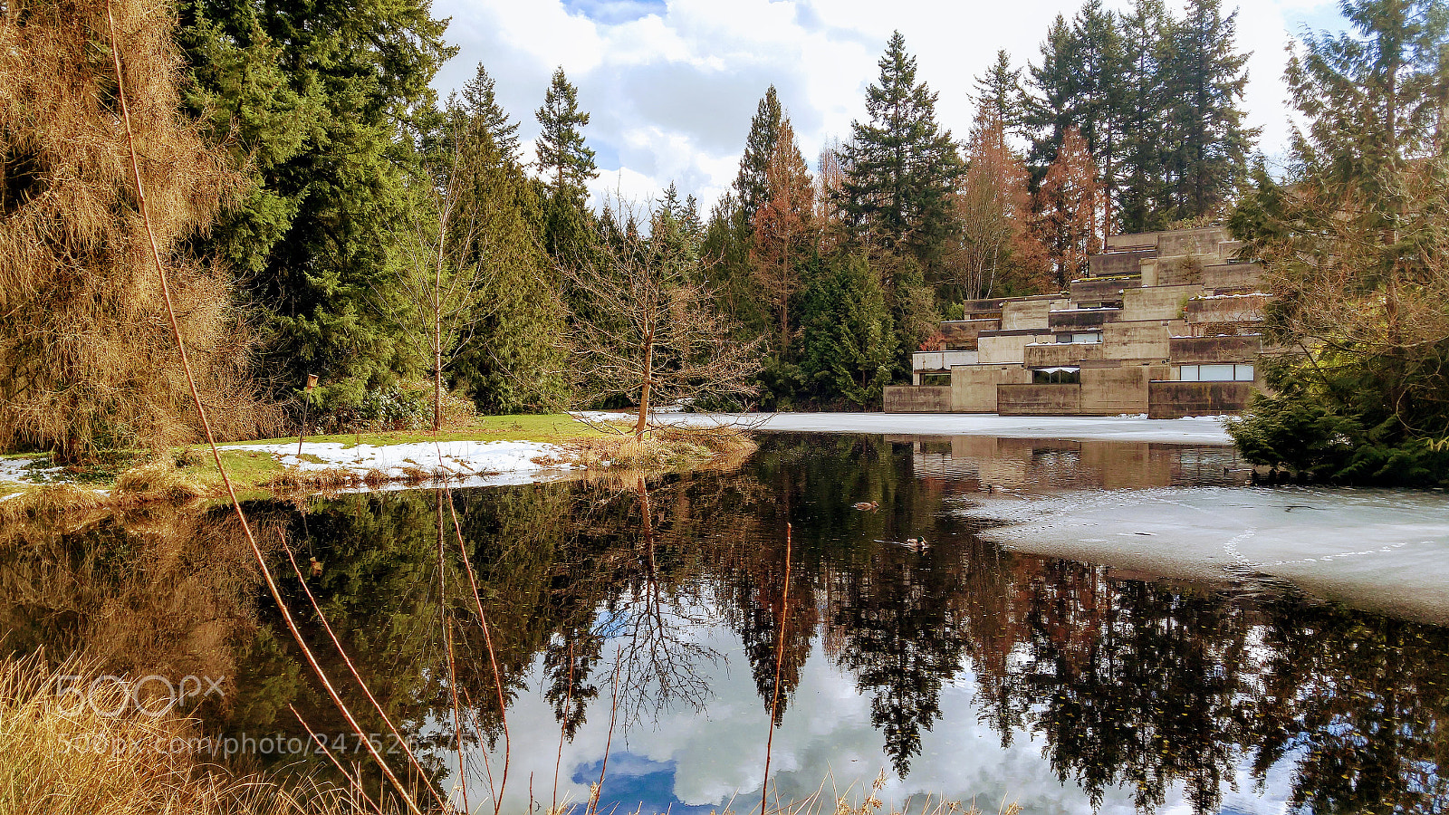 LG G4 sample photo. Upper pond reflections photography