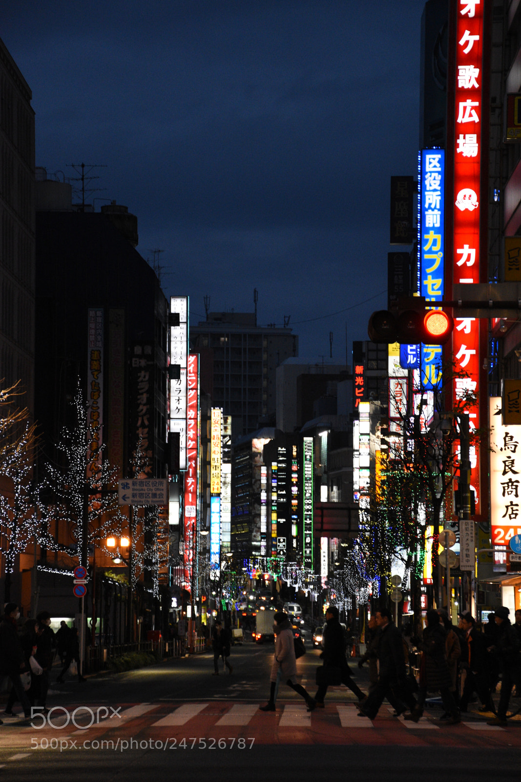 Nikon D5600 sample photo. Shinjuku, japan - crossing photography