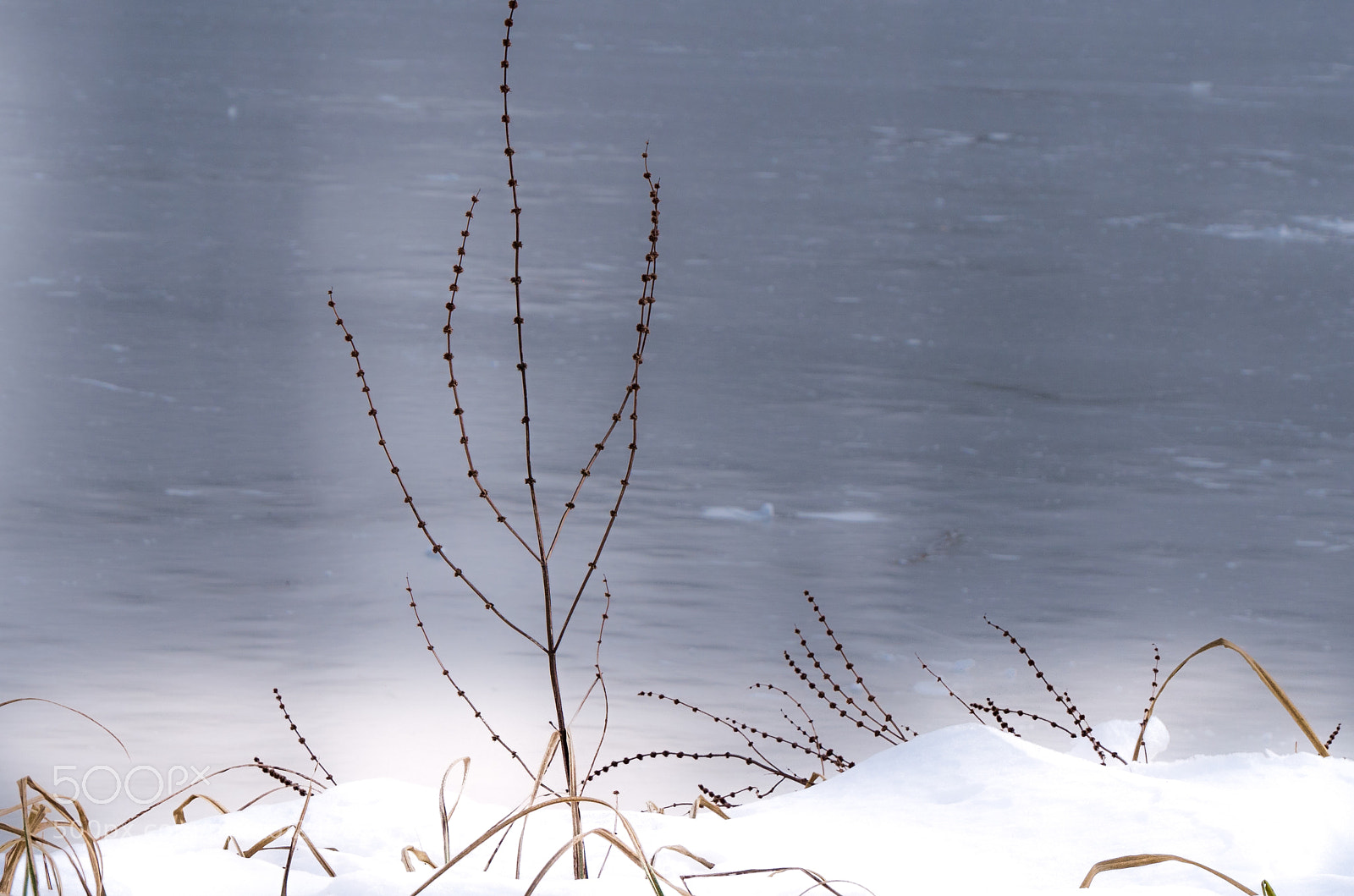 Panasonic DMC-G70 sample photo. Frozen pond photography