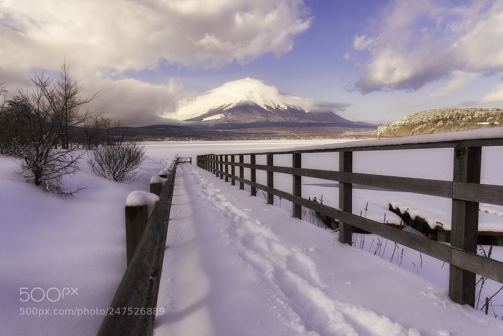 Nikon D610 sample photo. Fuji winter photography
