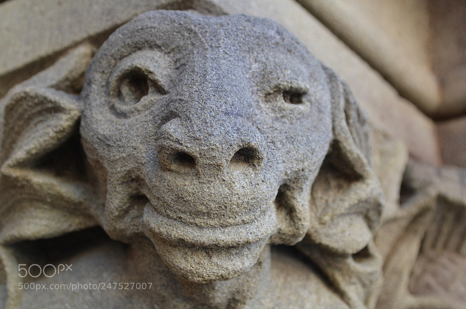 Nikon D3100 sample photo. Under the watchful eye... photography