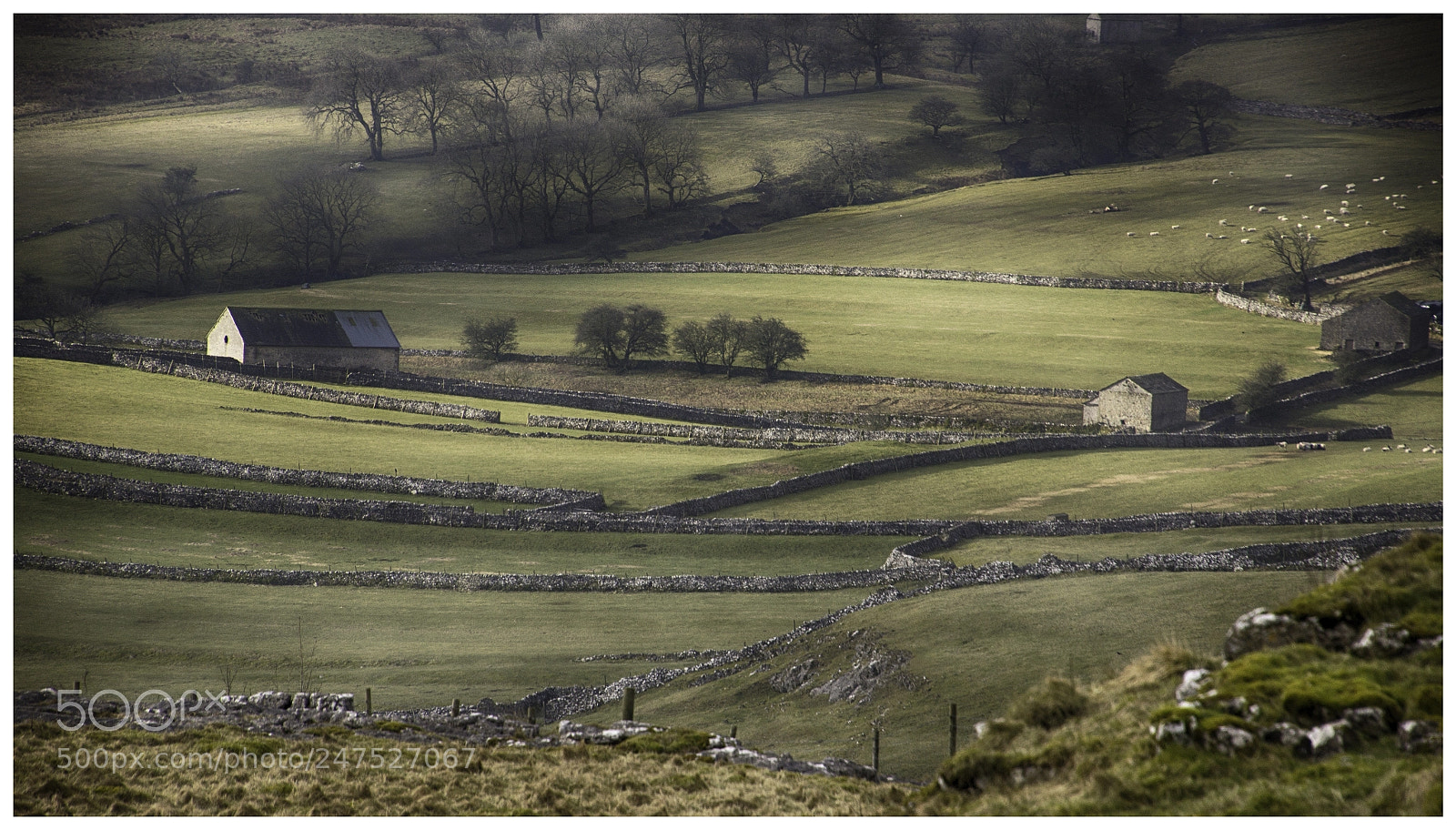 Sony SLT-A55 (SLT-A55V) sample photo. Malham photography