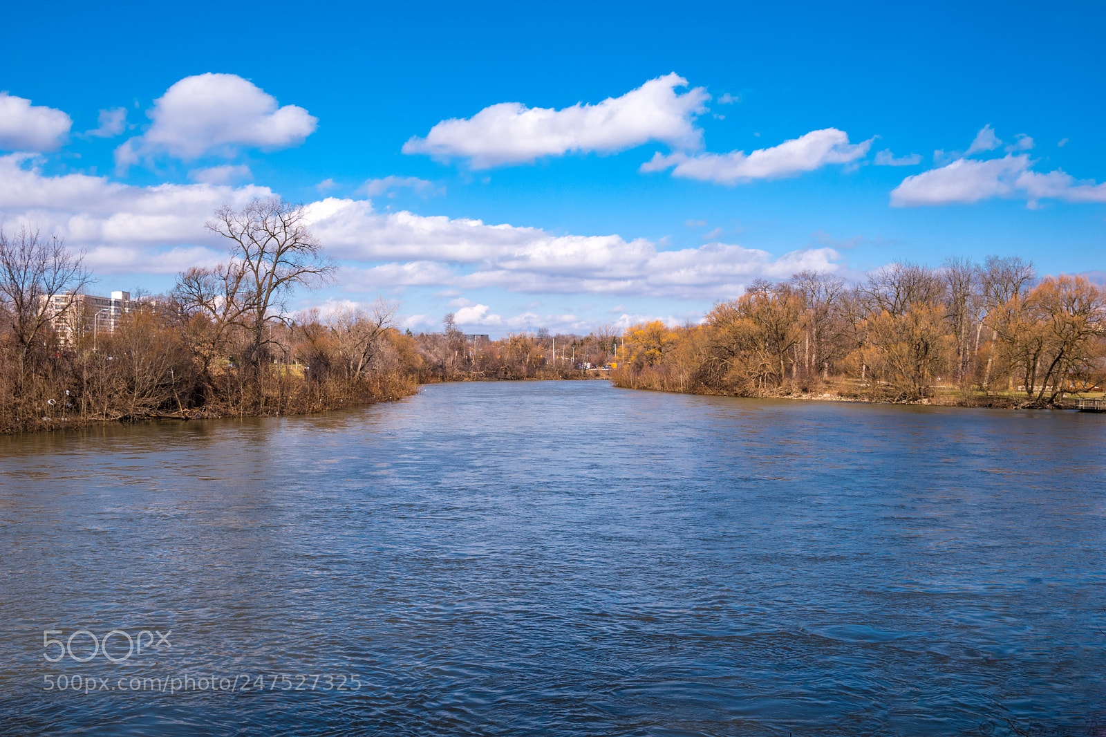 Nikon D5600 sample photo. River and sky photography