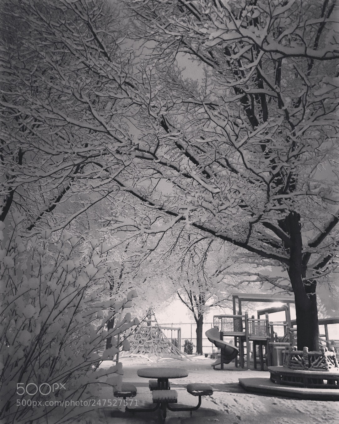 Apple iPhone 7 Plus sample photo. Playground in the snow! photography