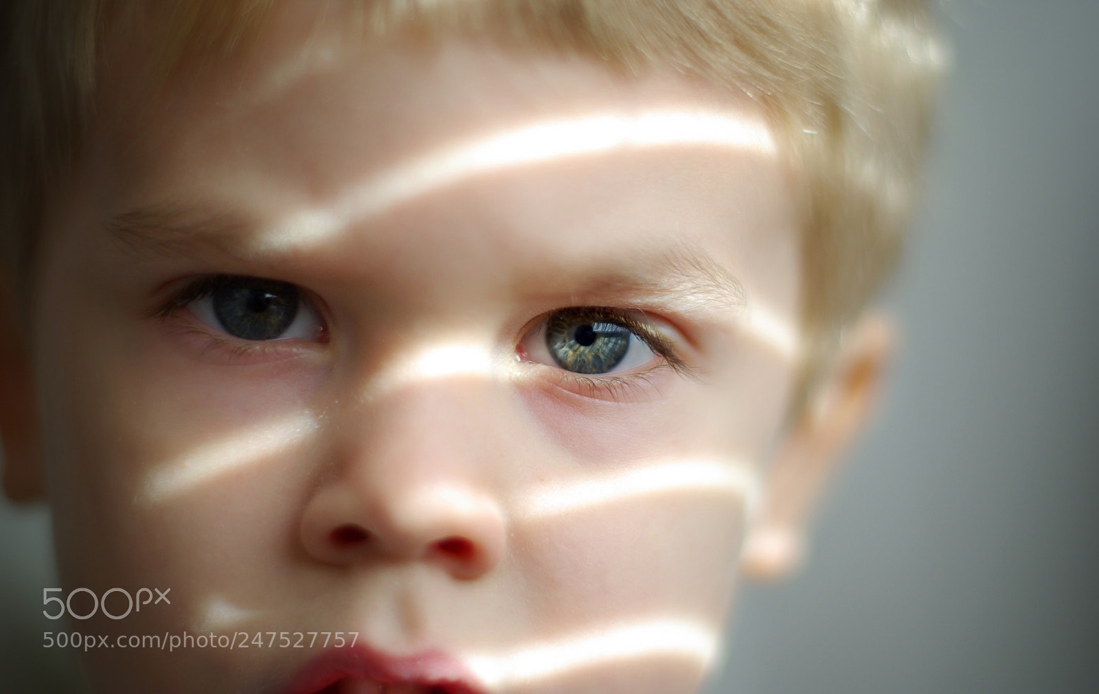 Pentax K10D sample photo. Blinds photography