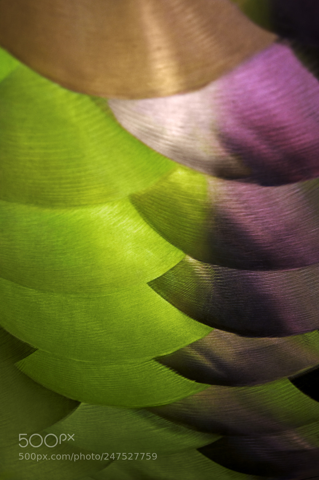 Nikon D300S sample photo. Reflector i photography