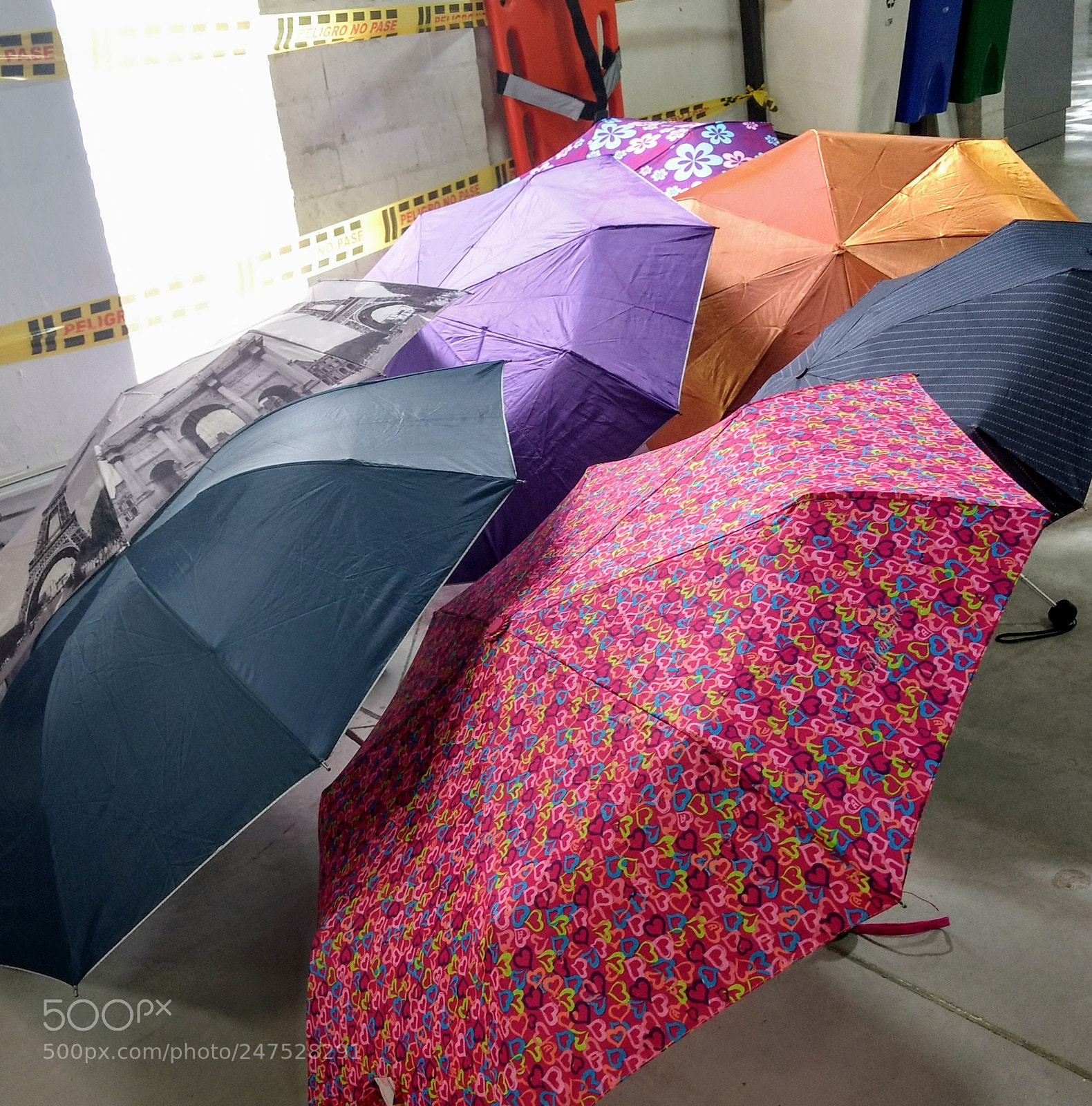 Motorola Moto G (4) sample photo. Los colores de la photography