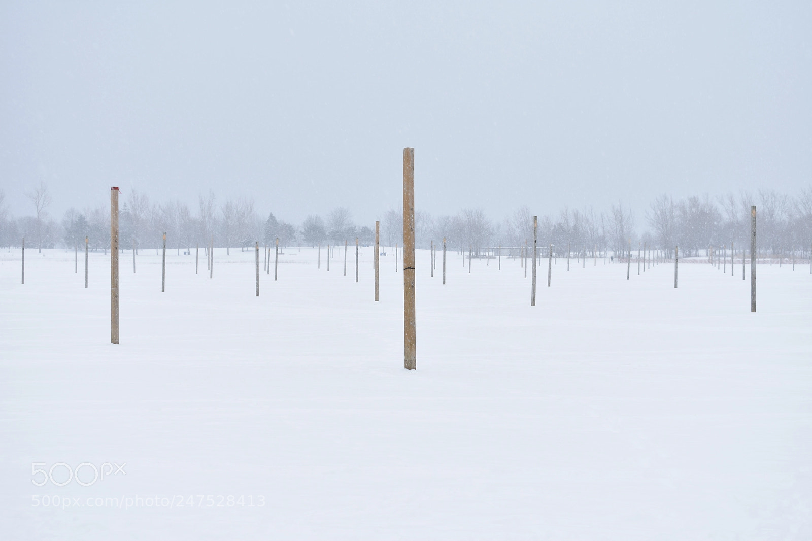 Nikon D3400 sample photo. Woodbine beach photography