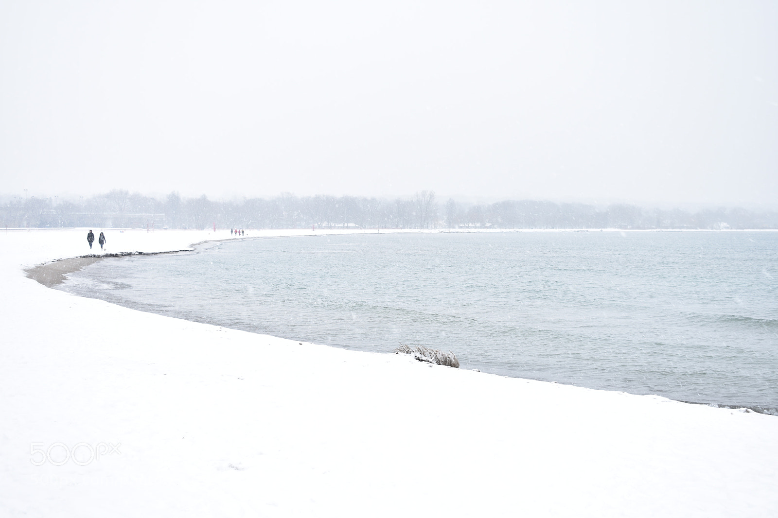 Nikon D3400 sample photo. Woodbine beach photography