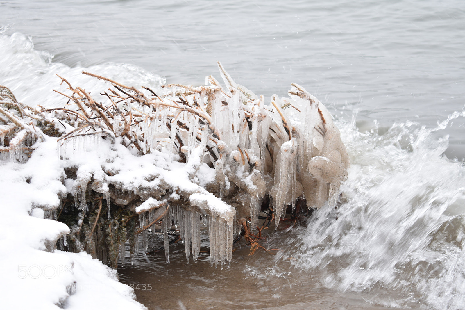 Nikon D3400 sample photo. Woodbine beach photography