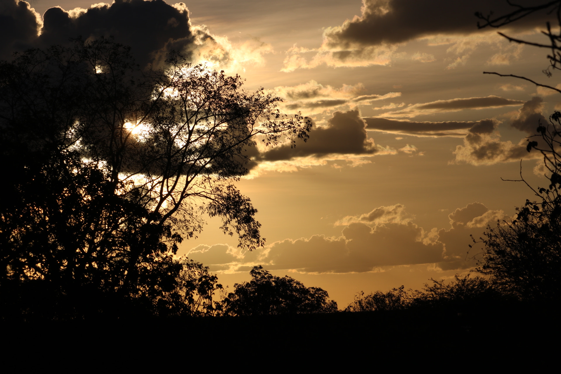 Canon EF-S 55-250mm F4-5.6 IS STM sample photo. Sunset photography
