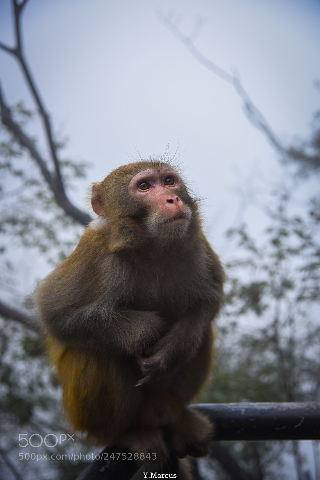 Nikon D810 sample photo. Zhangjiajie photography