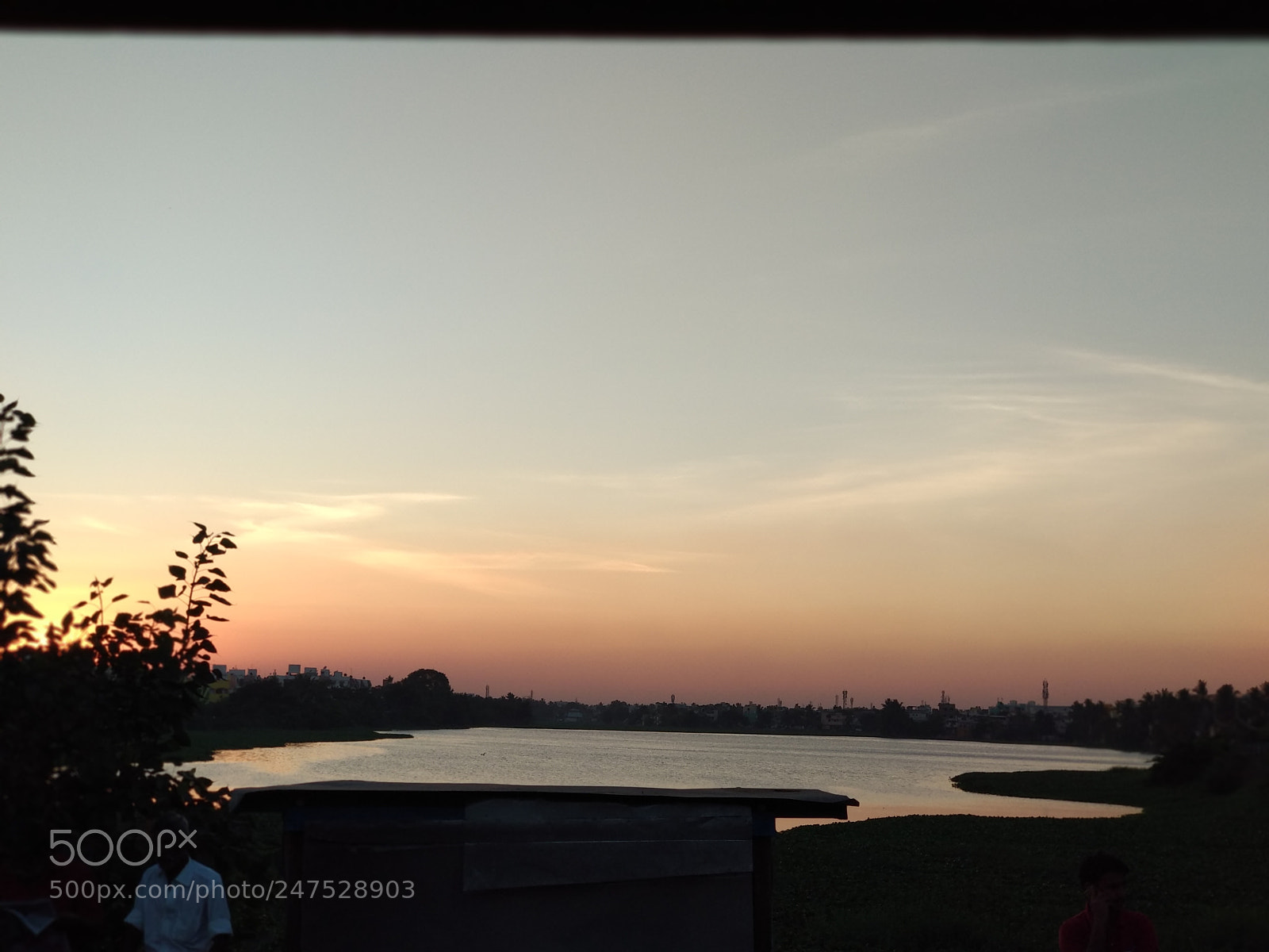 Xiaomi Mi A1 sample photo. Velachery lake | வேளச்சேரி ஏரிக்கரை photography