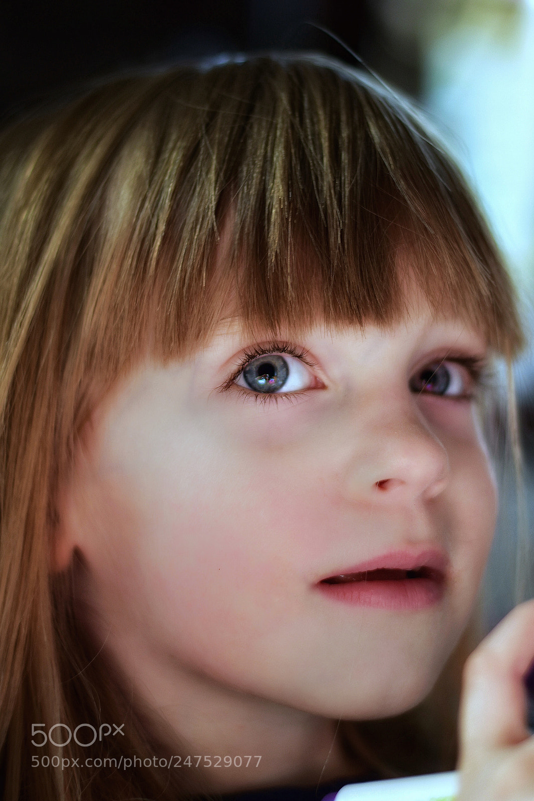 Nikon D5600 sample photo. Untitled photography
