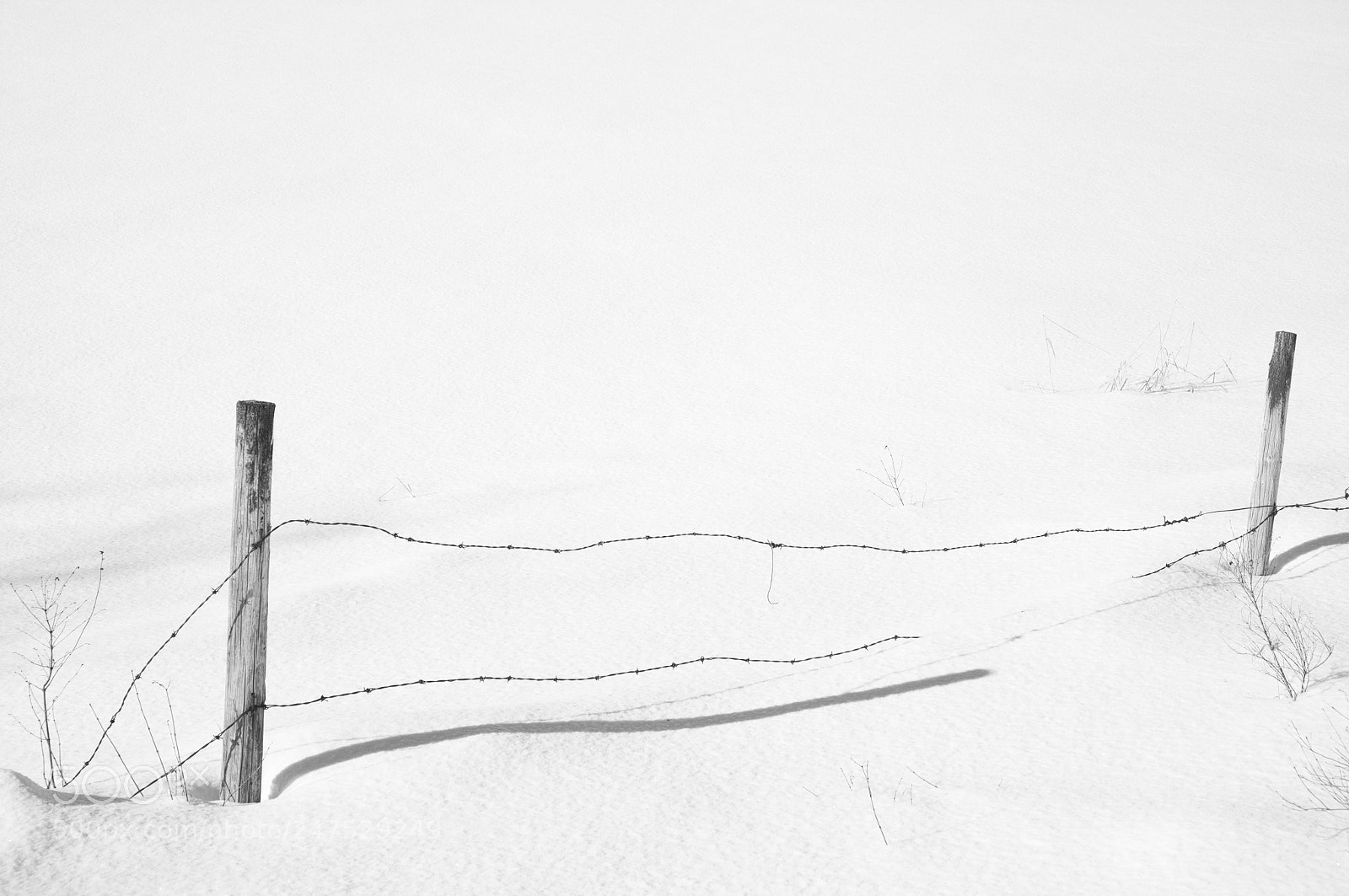 Fujifilm X-E1 sample photo. Winterscape photography