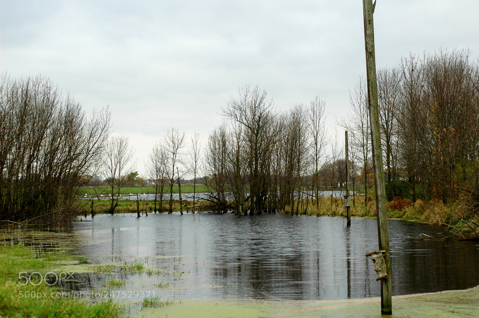 Nikon D70 sample photo. Pond photography