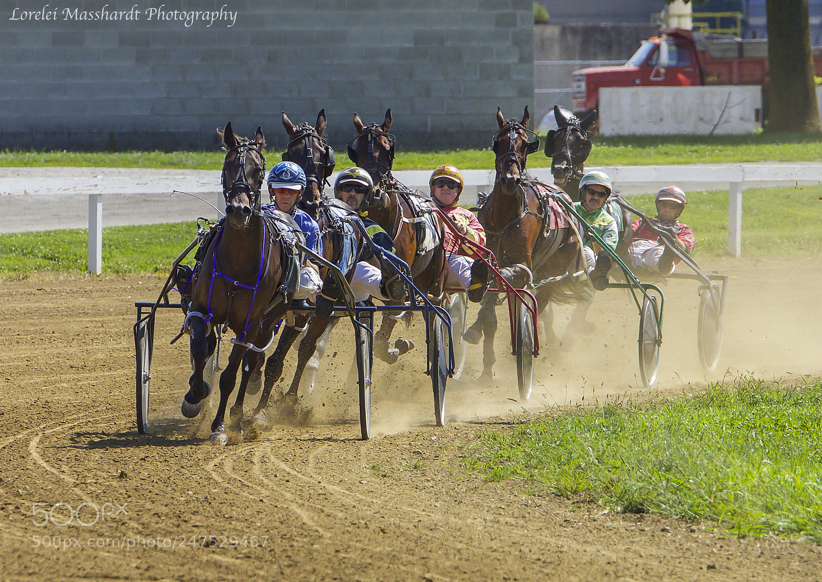 Canon EOS 70D sample photo. Harness racing photography