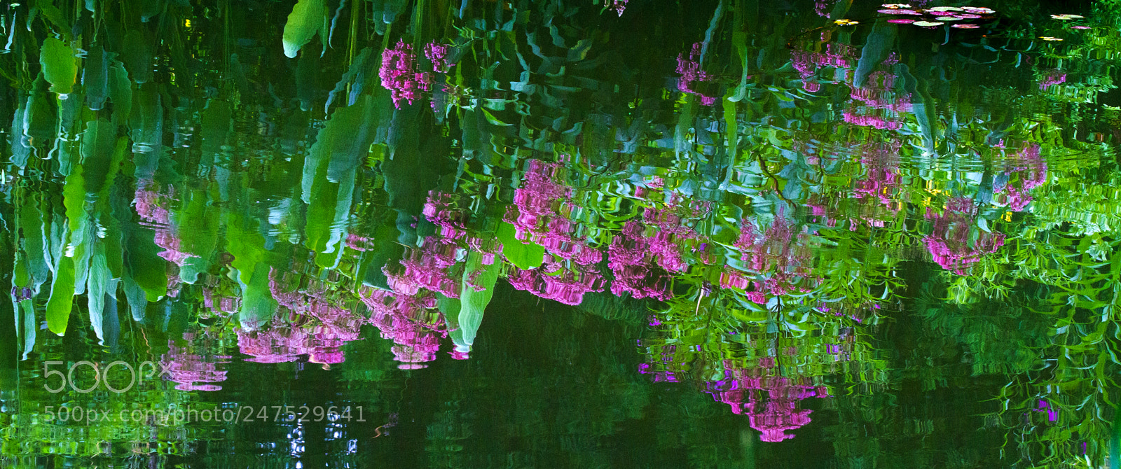 Canon EOS 7D sample photo. Tyhsfg photography