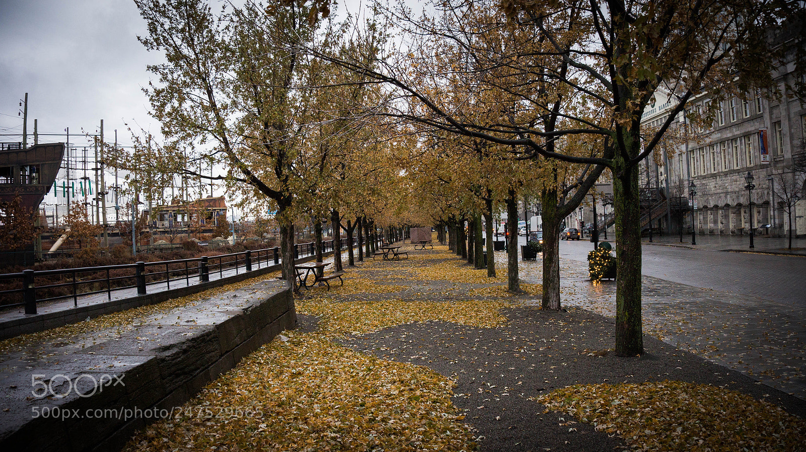 Sony Alpha a3500 sample photo. Montreal photography