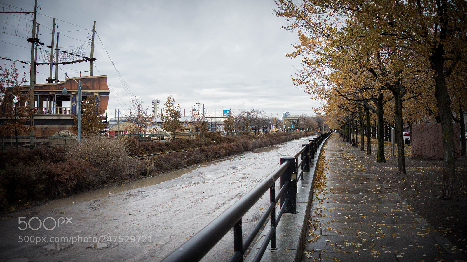 Sony Alpha a3500 sample photo. Montreal photography