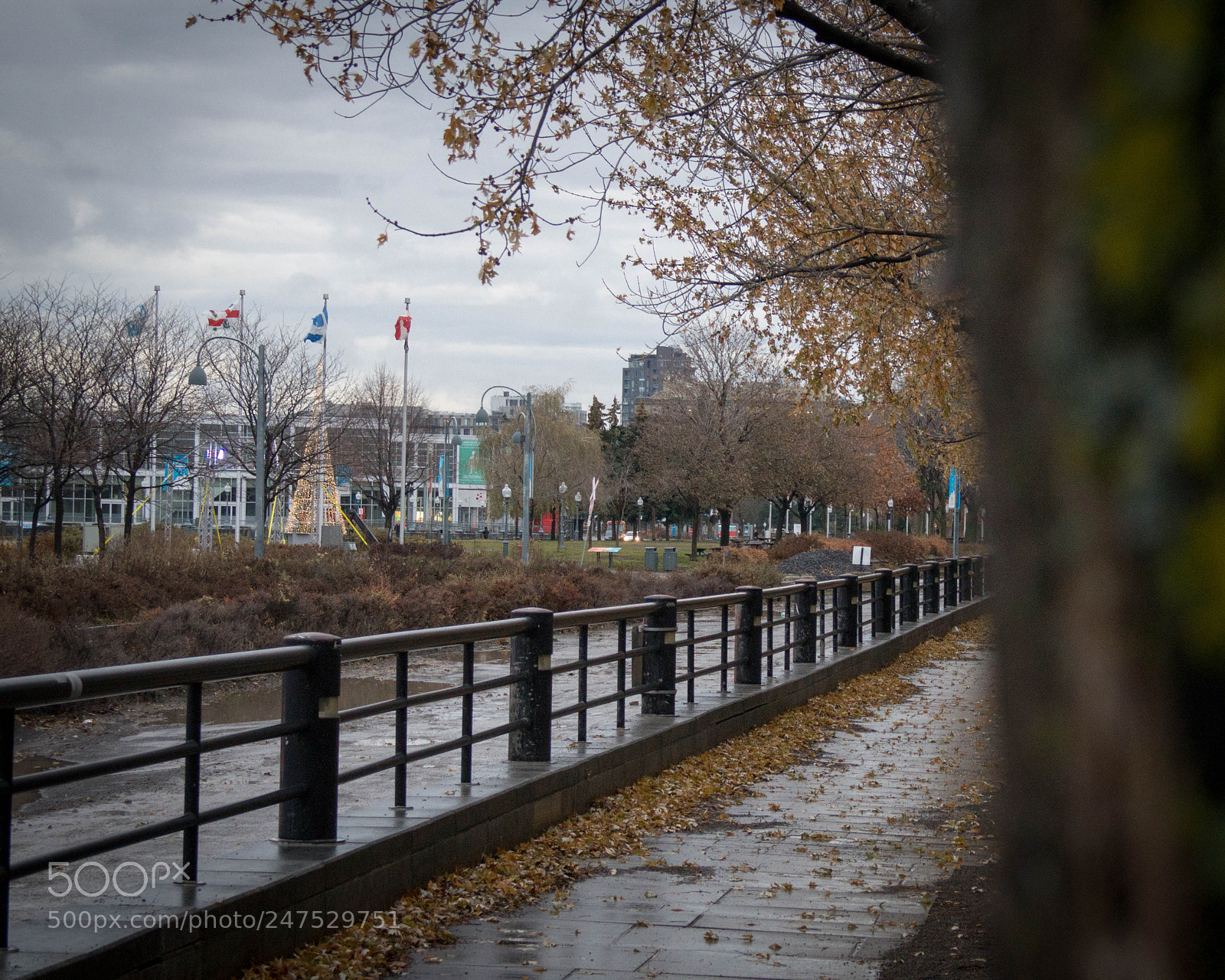 Sony Alpha a3500 sample photo. Montreal photography
