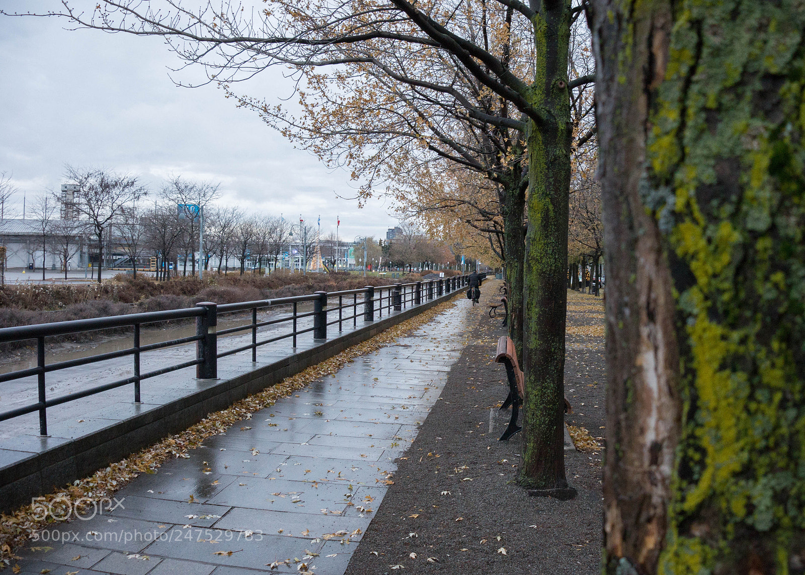 Sony Alpha a3500 sample photo. Montreal photography