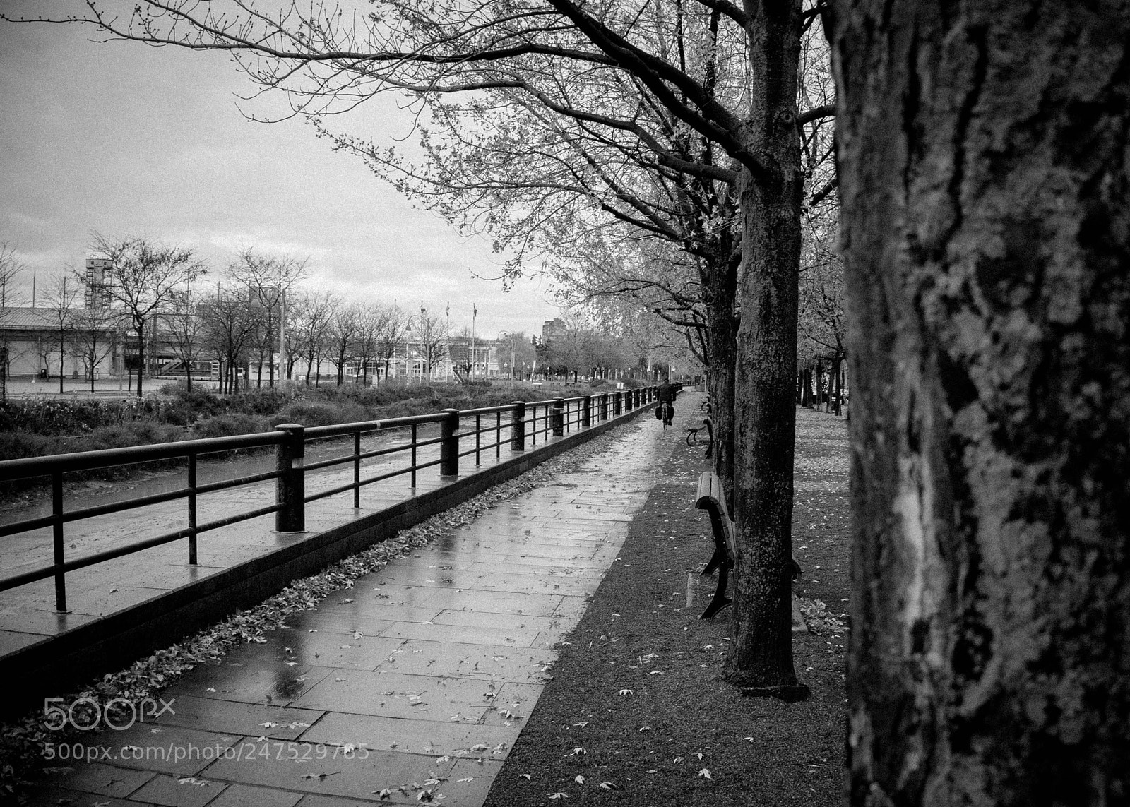 Sony Alpha a3500 sample photo. Montreal photography