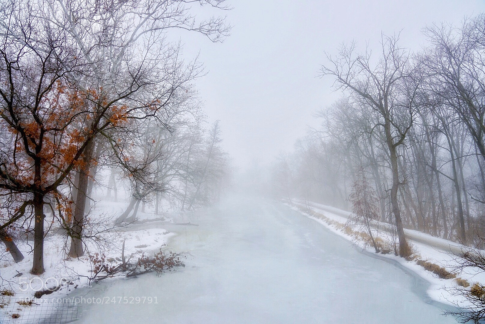 Sony a7 II sample photo. I m canal channahon photography