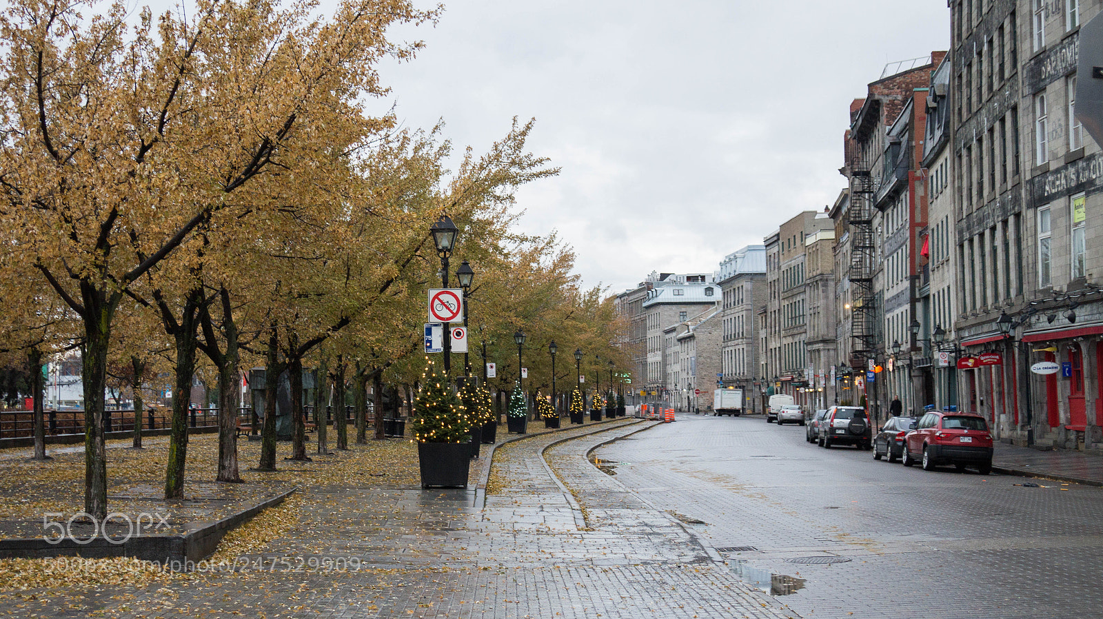 Sony Alpha a3500 sample photo. Montreal photography
