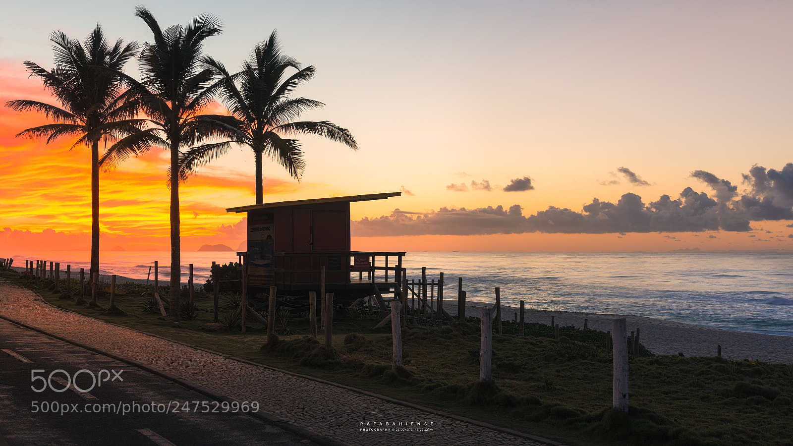 Nikon D800 sample photo. Sunrise praia da barra photography