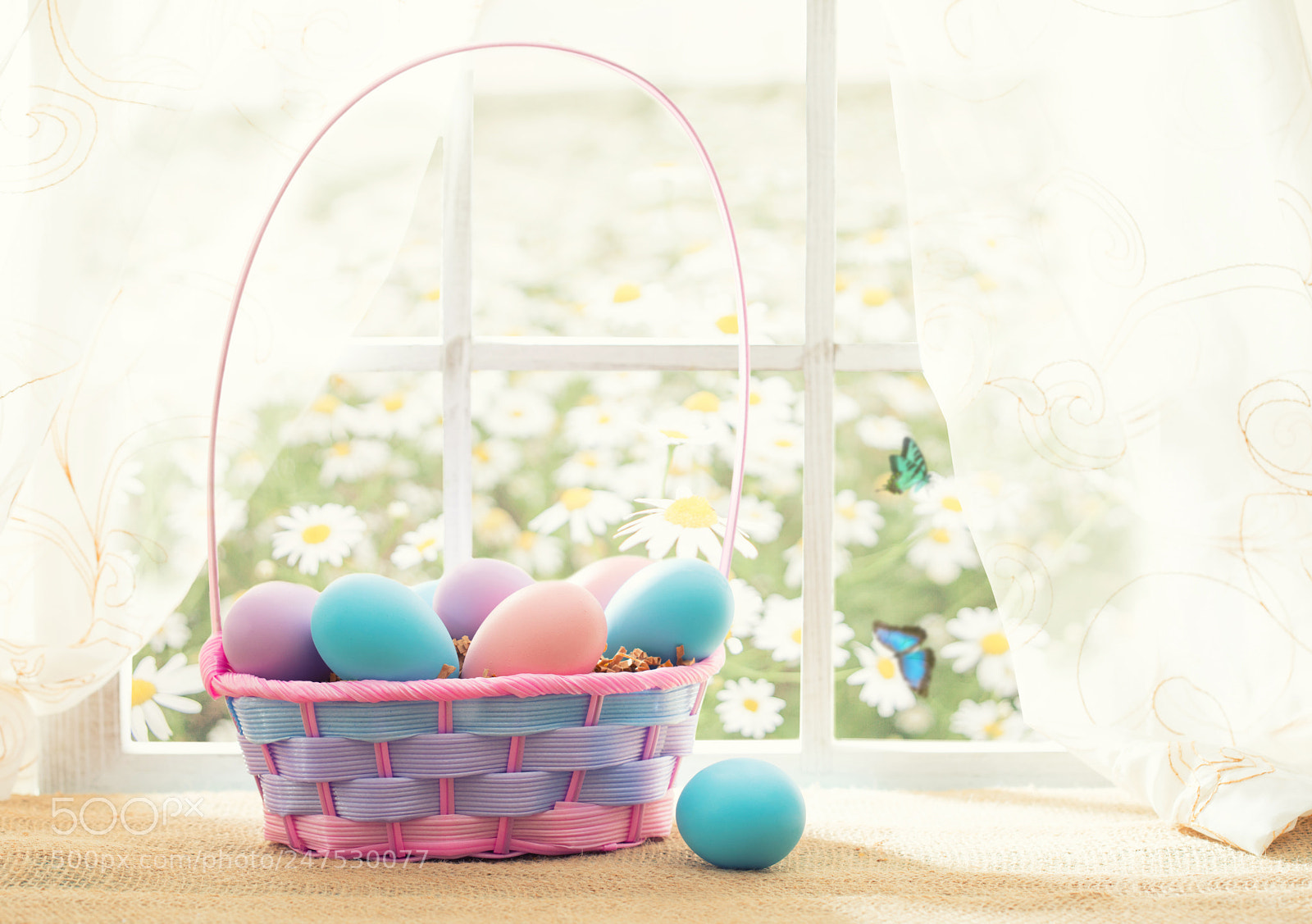 Canon EOS 5D Mark IV sample photo. Easter shopping theme colorful photography