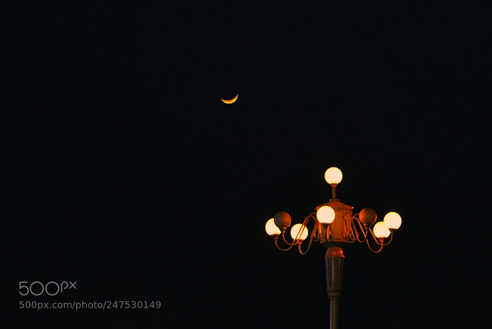 Nikon D7100 sample photo. 夜 photography