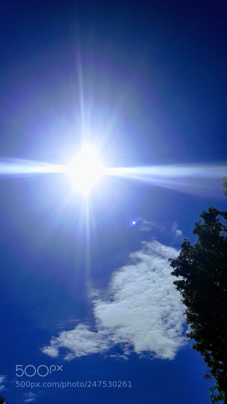 Samsung Galaxy Note5 sample photo. The sun. photography