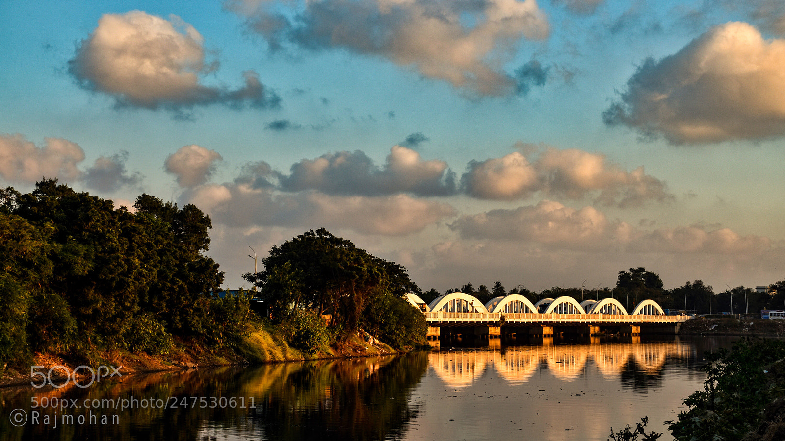 Nikon D5600 sample photo. Napier s bridge.view from photography