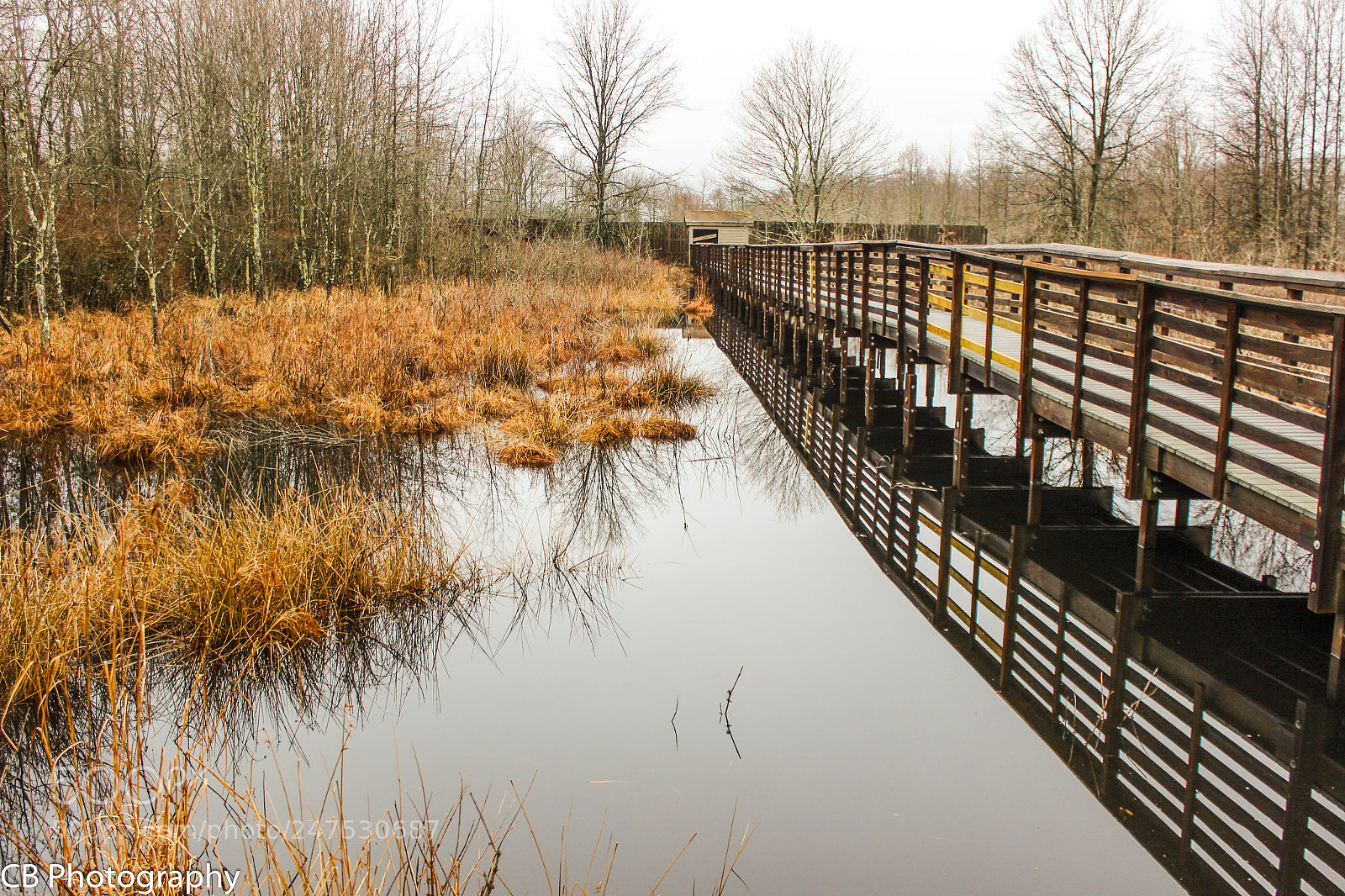 Canon EOS 600D (Rebel EOS T3i / EOS Kiss X5) sample photo. Boardwalk reflections photography