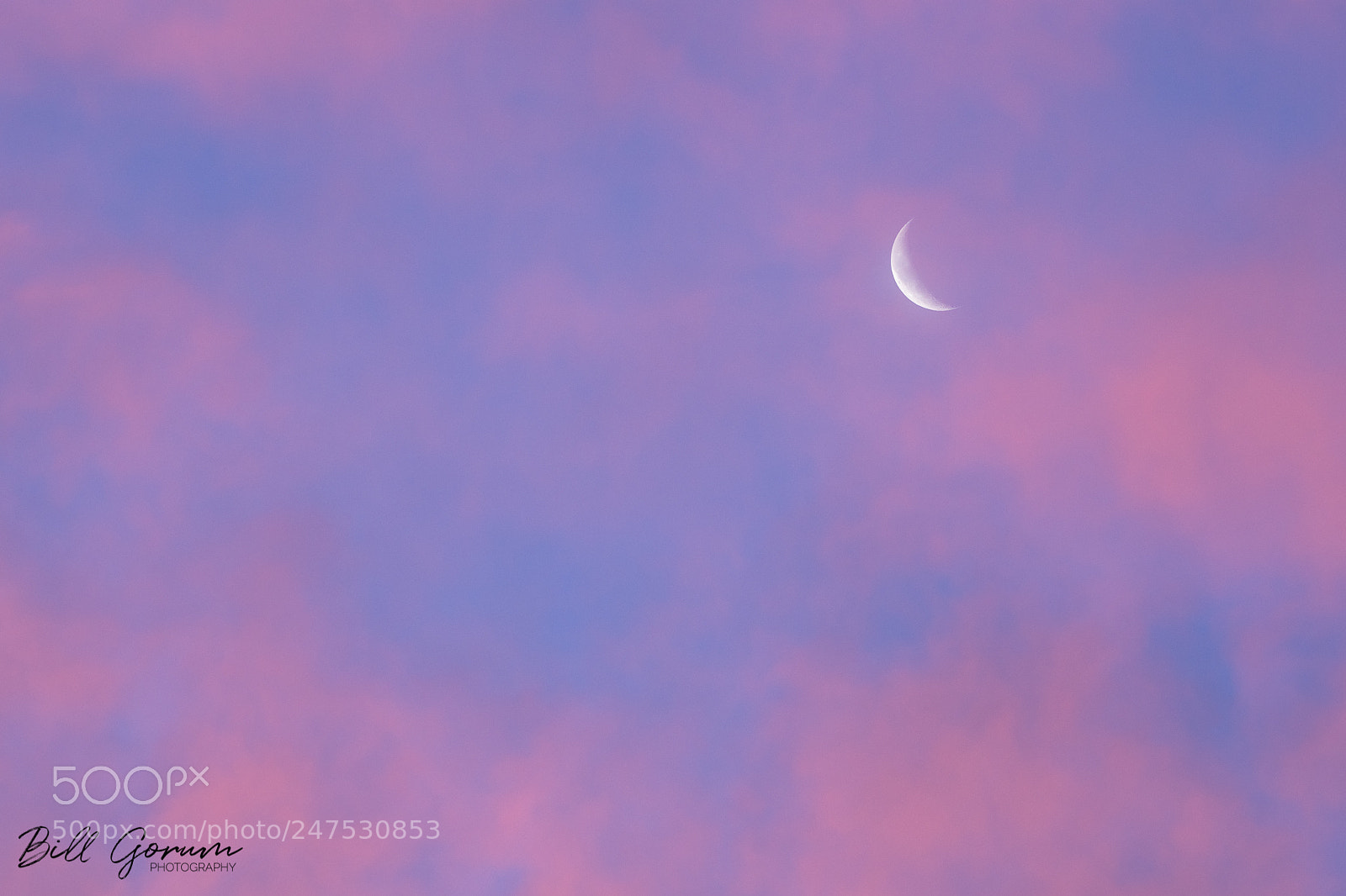 Nikon D500 sample photo. Moon and clouds at photography
