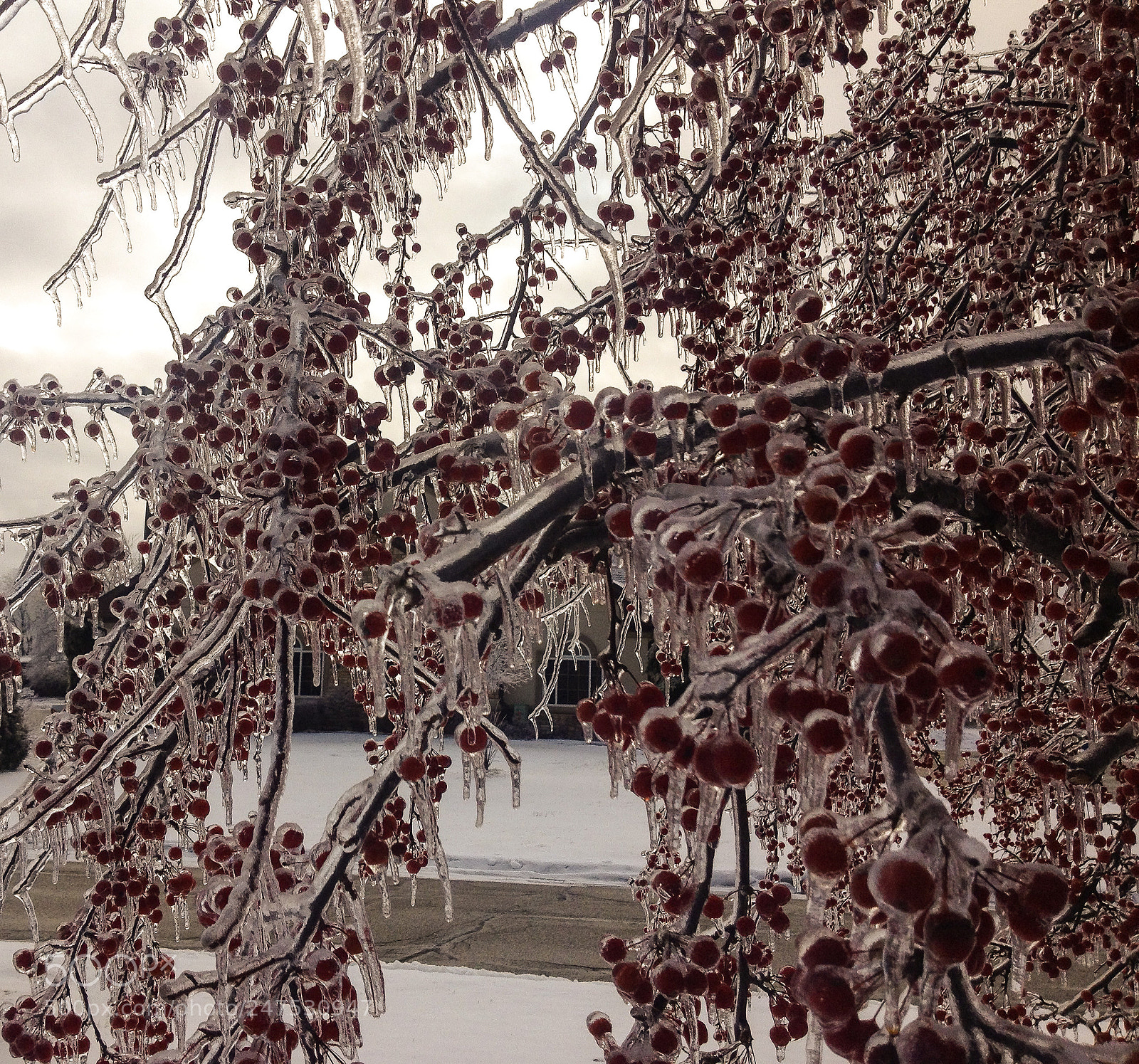 Apple iPhone 4S sample photo. Frozen in time photography