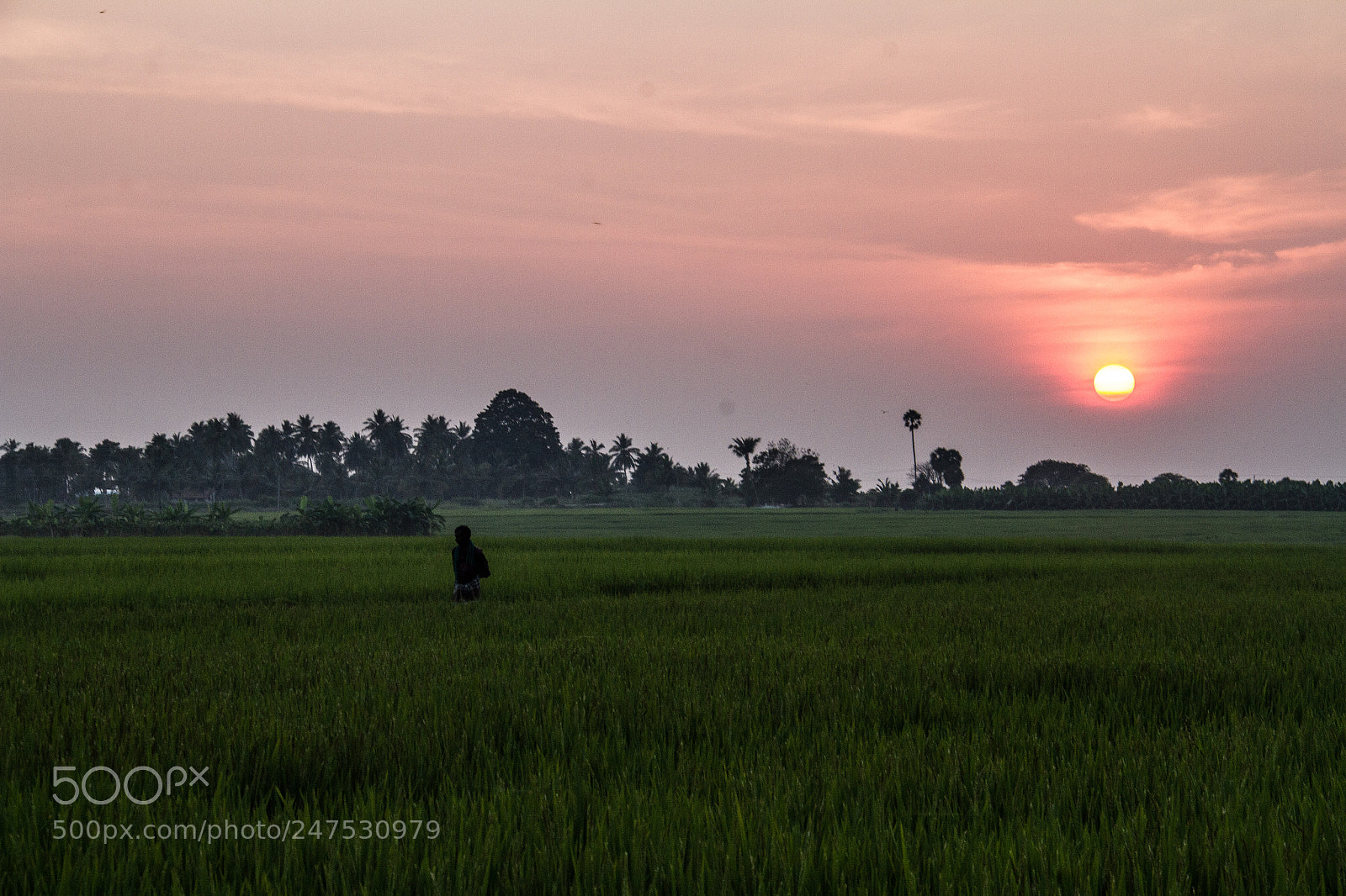 Canon EOS 7D sample photo. Nature photography