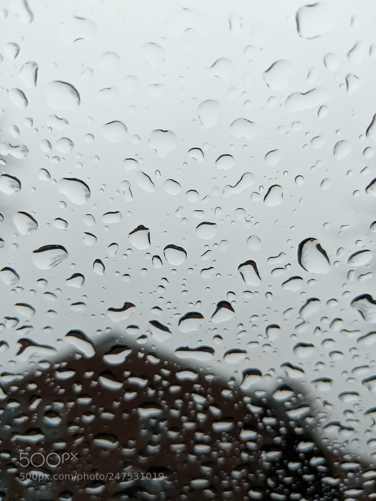 Google Pixel 2 XL sample photo. Water beads photography