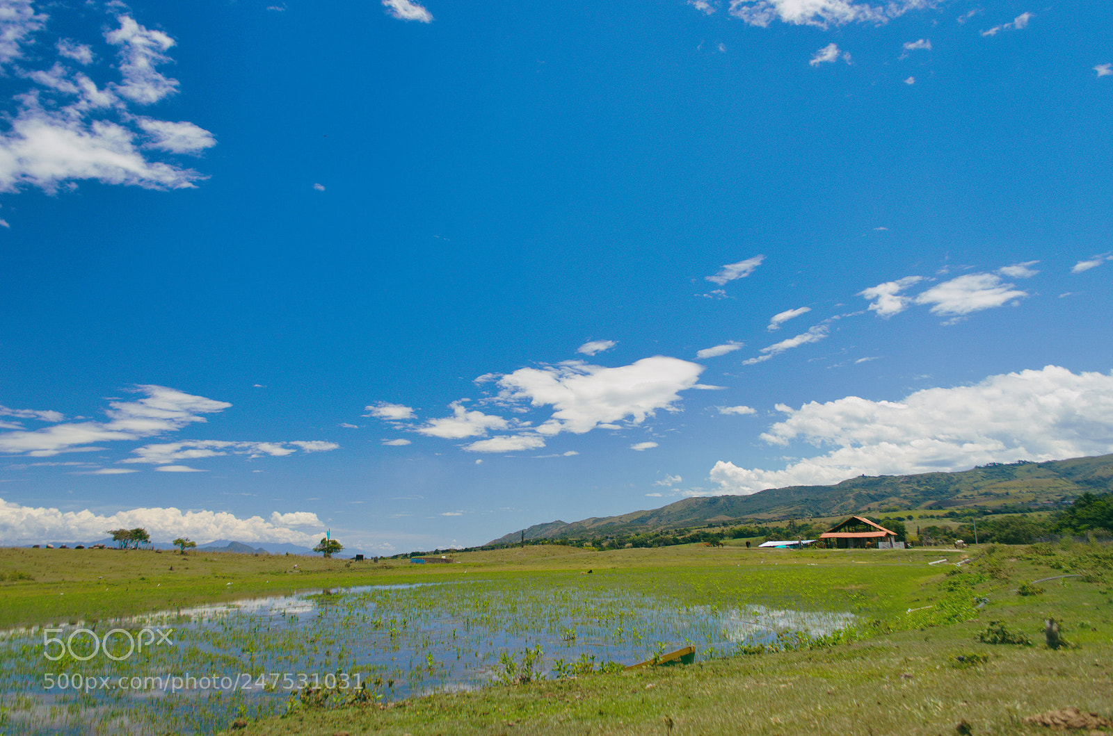 Nikon D5100 sample photo. Farm with lake photography